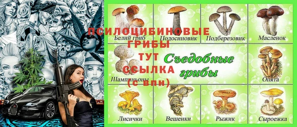 эйфоретик Беломорск