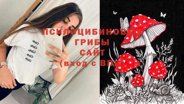 mdma Богданович