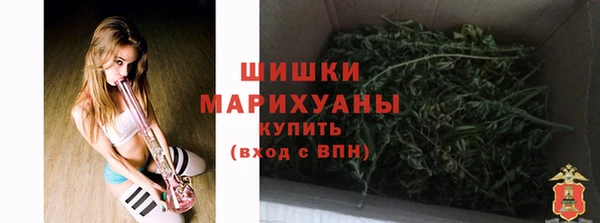 гидра Белоозёрский