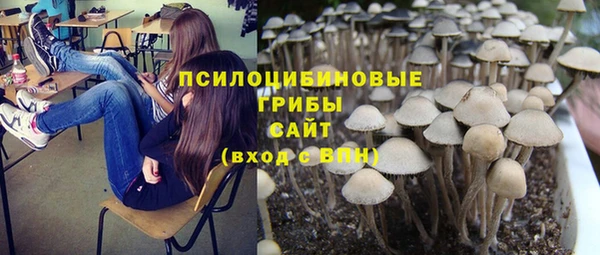 эйфоретик Беломорск