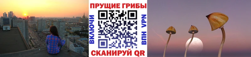 Псилоцибиновые грибы Psilocybine cubensis  Высоцк 